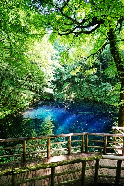 20251102-y82me 20251102-y82me