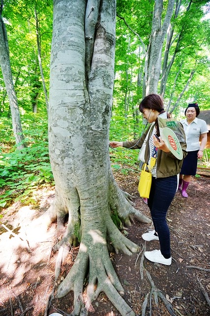 20251102-z0k5o 20251102-z0k5o