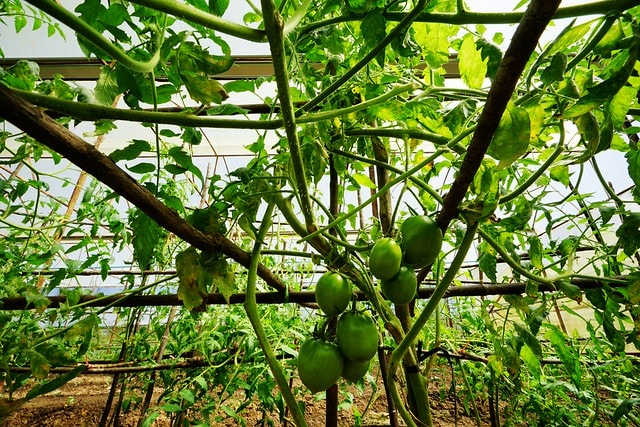 20251102-0hl66 20251102-0hl66