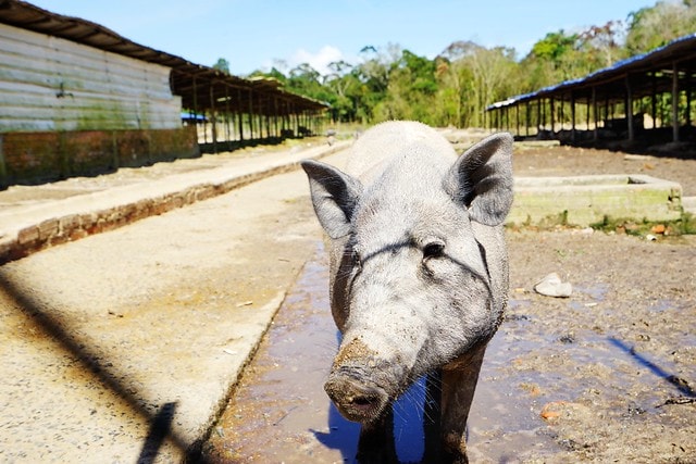 20251102-1hf25 20251102-1hf25