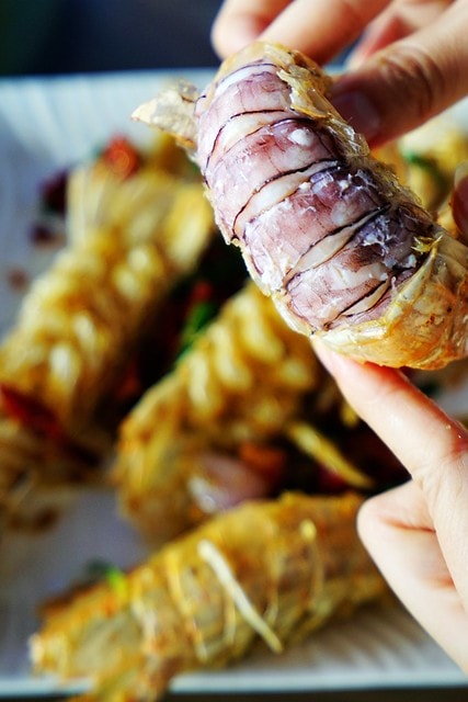 20251102-2vcql 20251102-2vcql