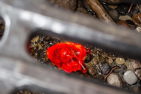 20251102-43ogx 20251102-43ogx