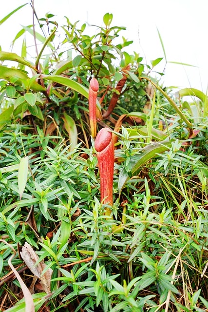 20251102-6gmn4 20251102-6gmn4