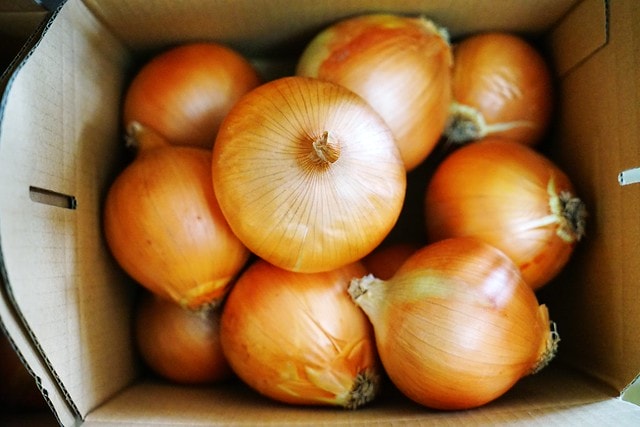 20251102-8q3ln 20251102-8q3ln