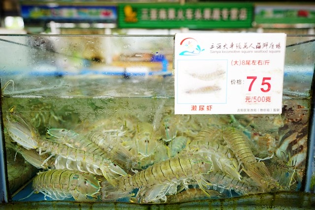 20251102-9p0ei 20251102-9p0ei