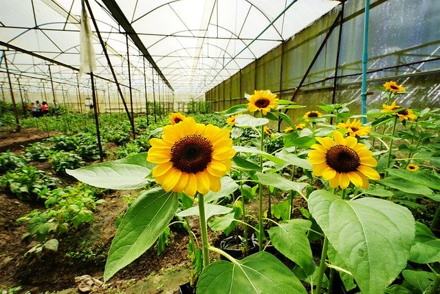 20251102-9v968 20251102-9v968