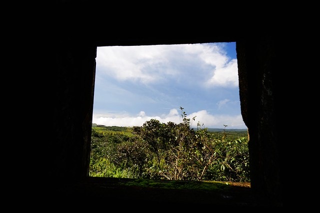 20251102-9yl9d 20251102-9yl9d