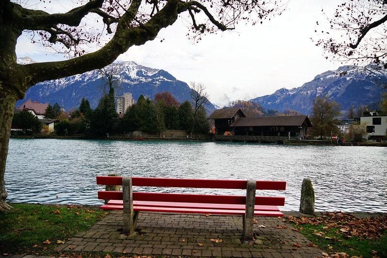 20251102-bfw3z 20251102-bfw3z