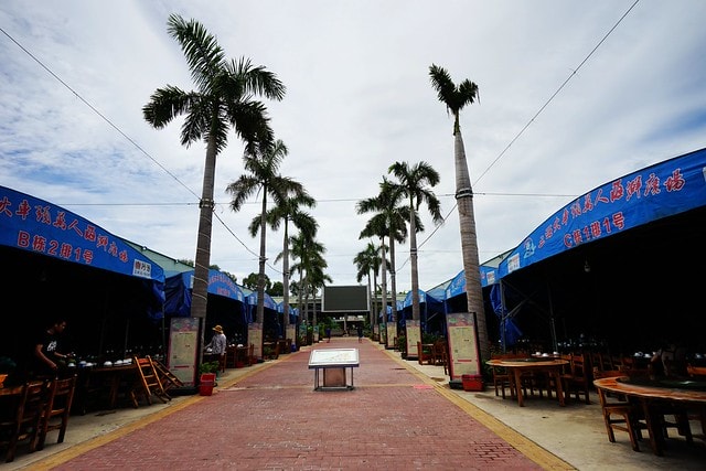 20251102-biogs 20251102-biogs