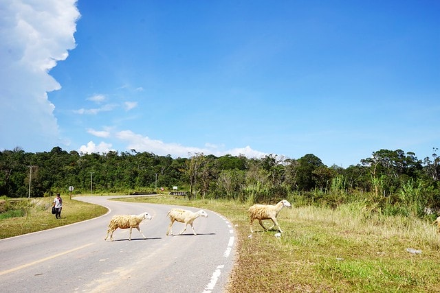 20251102-cfnv7 20251102-cfnv7