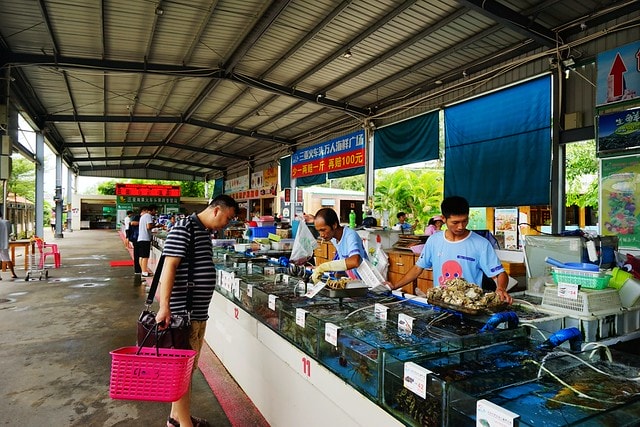 20251102-dk08p 20251102-dk08p