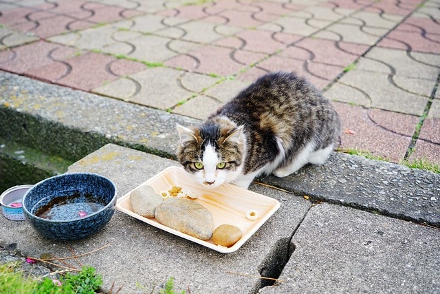 20251102-etpok 20251102-etpok