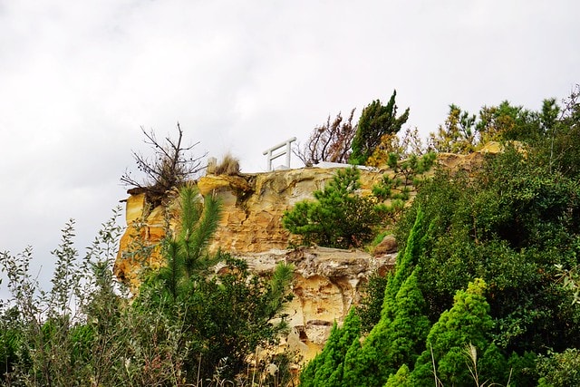 20251102-goghu 20251102-goghu