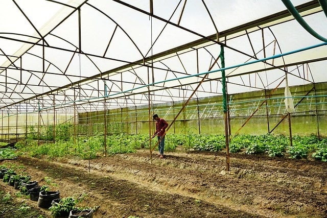 20251102-hbhu6 20251102-hbhu6