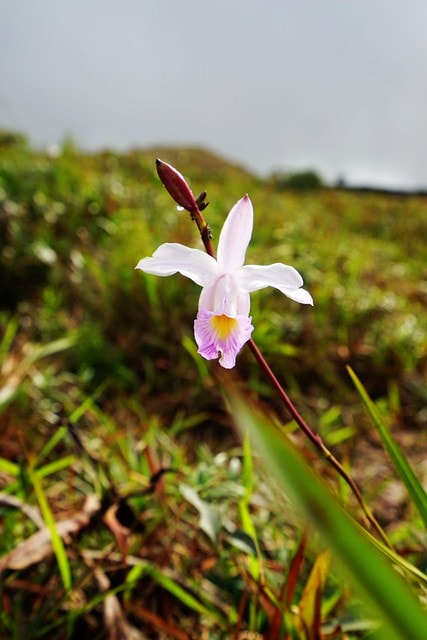 20251102-jee7m 20251102-jee7m