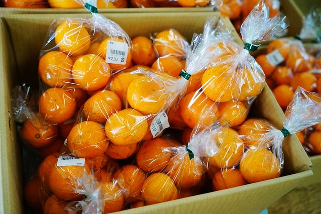 20251102-jj6p2 20251102-jj6p2