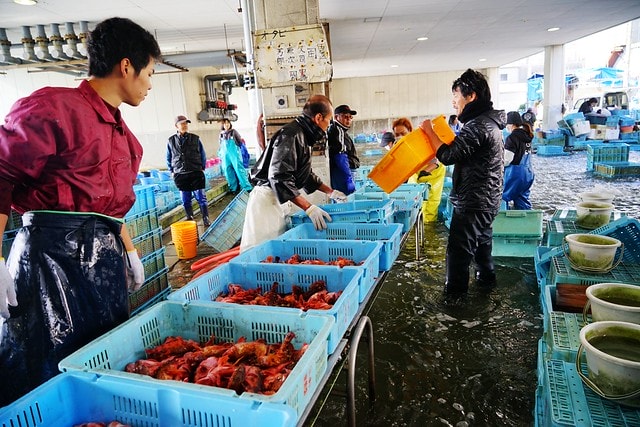 20251102-kl7in 20251102-kl7in