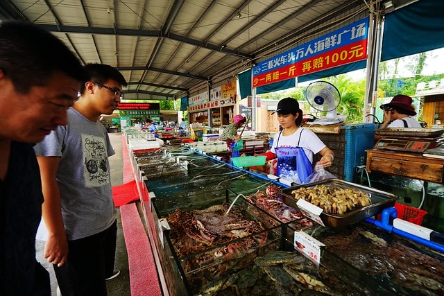 20251102-m8qyz 20251102-m8qyz