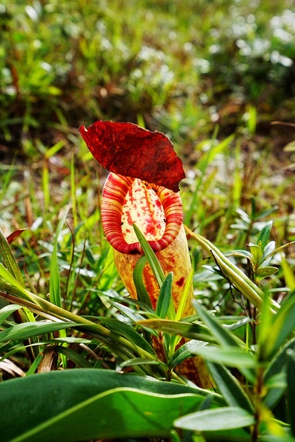 20251102-mqvdx 20251102-mqvdx