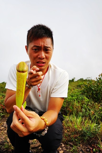 20251102-nggj1 20251102-nggj1