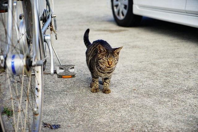 20251102-np7m6 20251102-np7m6