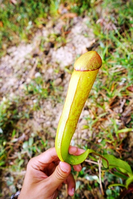 20251102-rl55e 20251102-rl55e