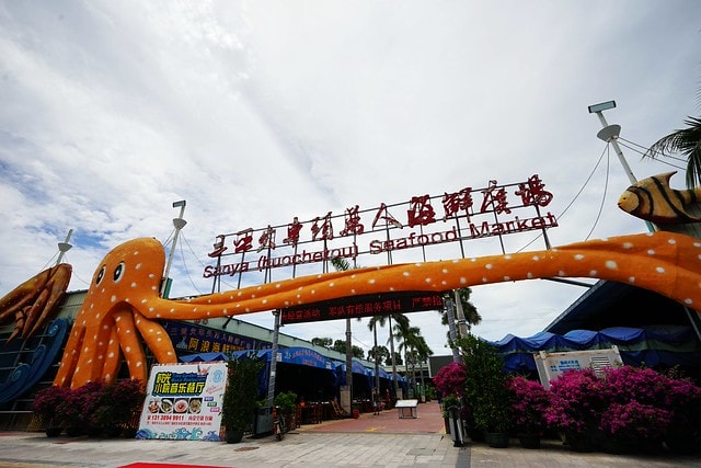 20251102-sla6a 20251102-sla6a