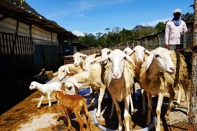 20251102-uexdf 20251102-uexdf