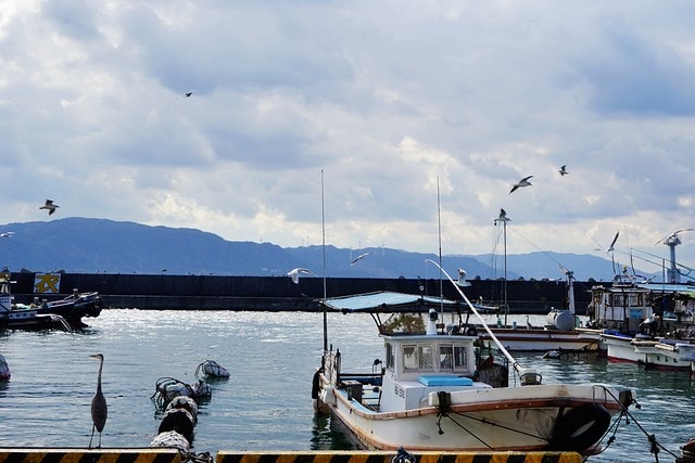 20251102-wwjxx 20251102-wwjxx