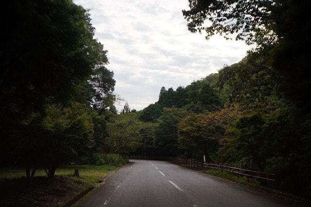 20251102-j4dx0 20251102-j4dx0