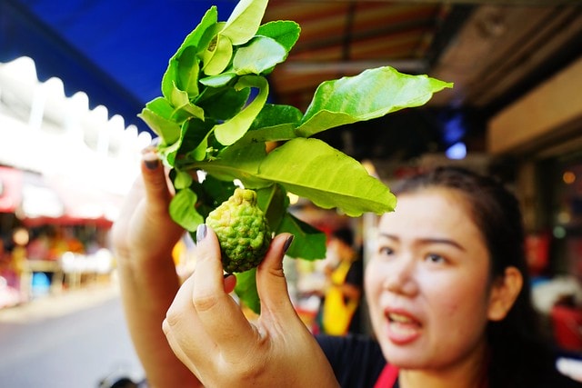 20251102-eztgd 20251102-eztgd