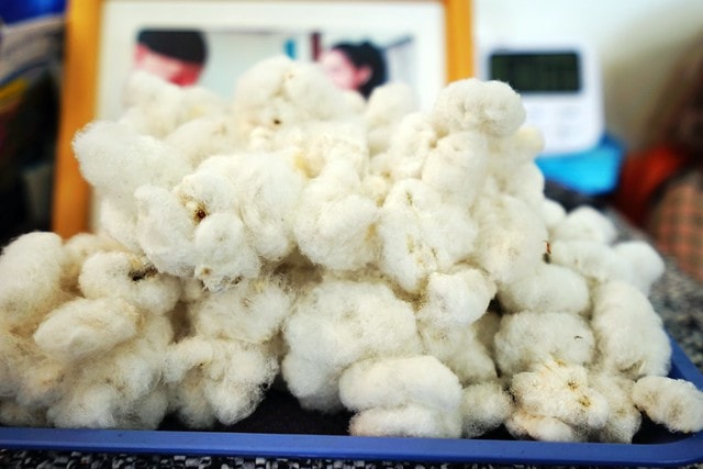 20251102-x35yh 20251102-x35yh