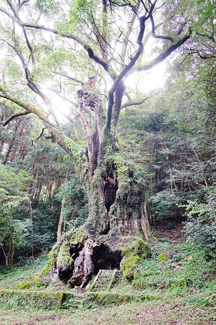 20251102-28532 20251102-28532