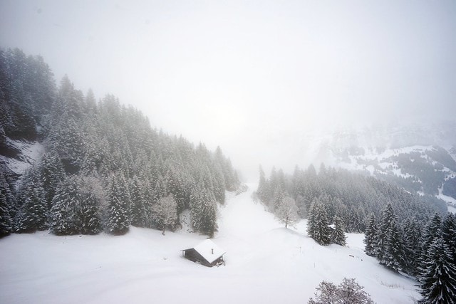 20251102-7872o 20251102-7872o