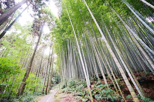 20251102-8cfir 20251102-8cfir