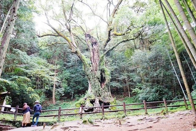 20251102-cviev 20251102-cviev