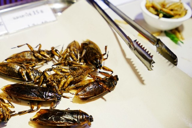 20251102-dwpgc 20251102-dwpgc