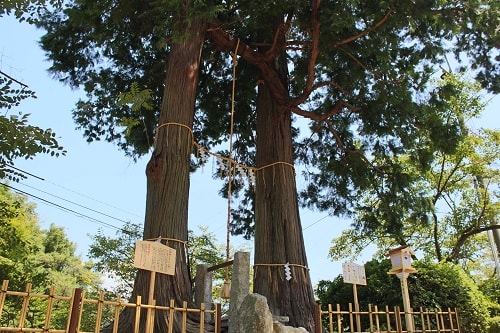 20251102-hufat 20251102-hufat