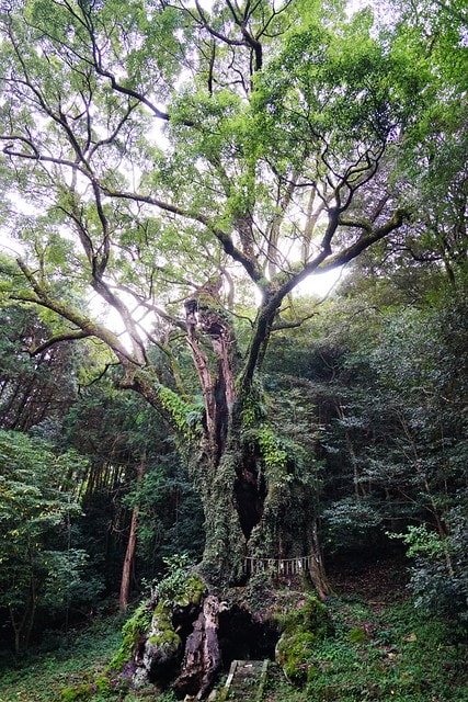 20251102-iswq6 20251102-iswq6