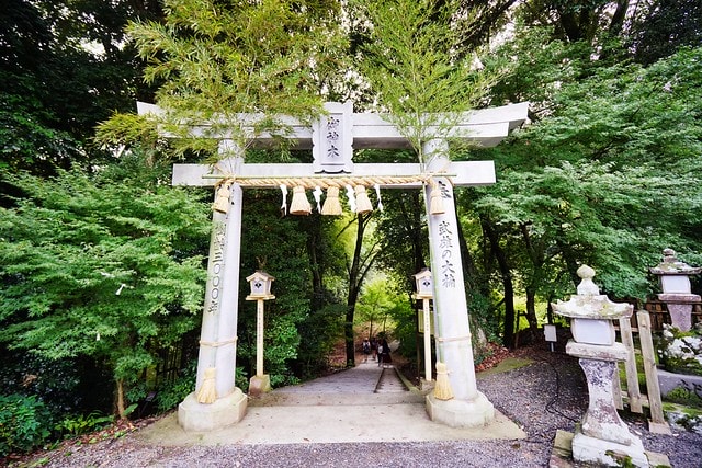 20251102-m0m3c 20251102-m0m3c