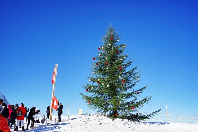 20251102-o4nyb 20251102-o4nyb