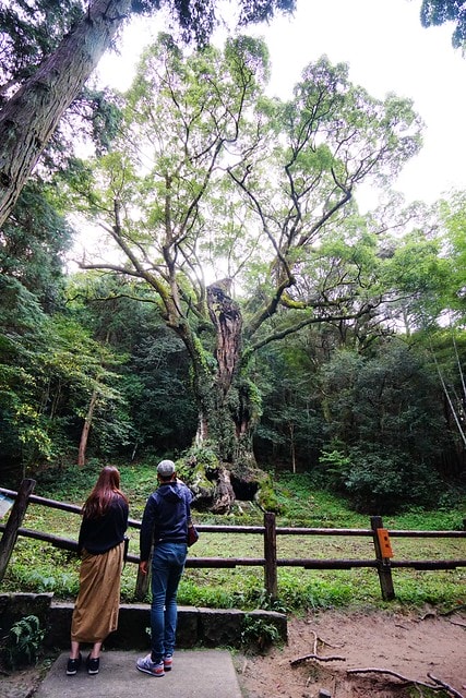 20251102-ocp87 20251102-ocp87