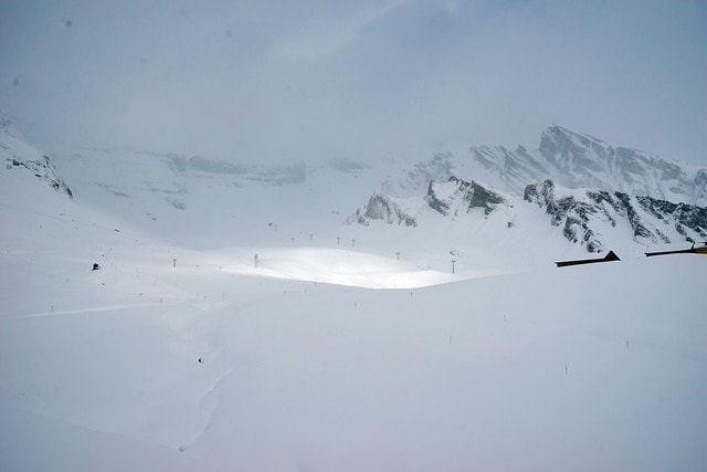 20251102-ojpc9 20251102-ojpc9