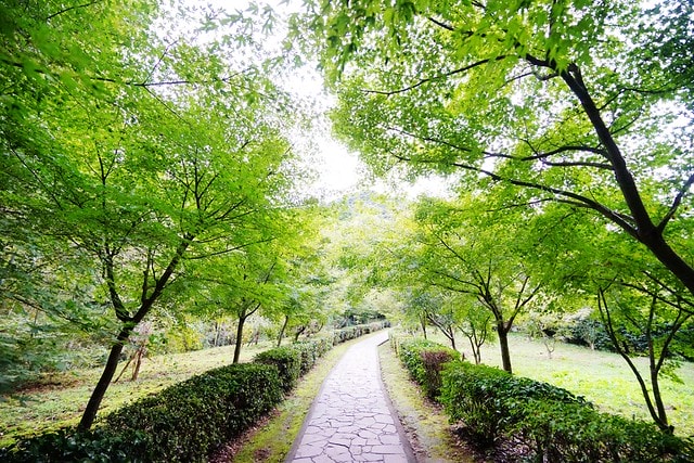 20251102-op6ru 20251102-op6ru