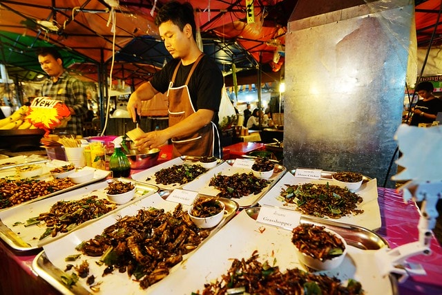 20251102-pwnvi 20251102-pwnvi