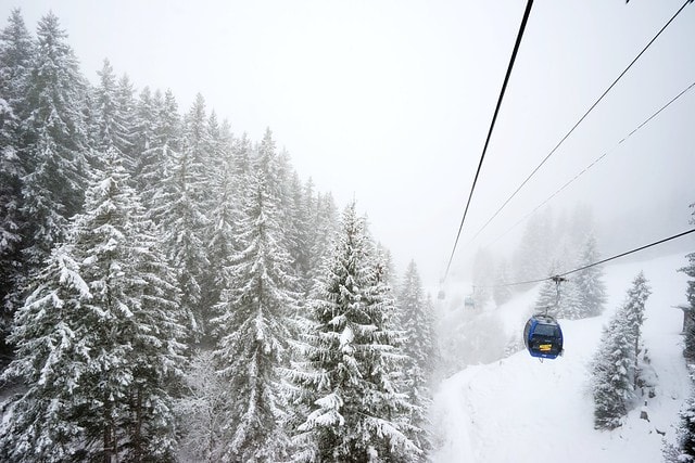 20251102-zsjgt 20251102-zsjgt