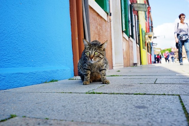 20251102-0cm15 20251102-0cm15