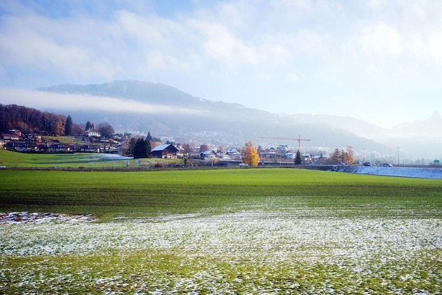 20251102-21rr1 20251102-21rr1