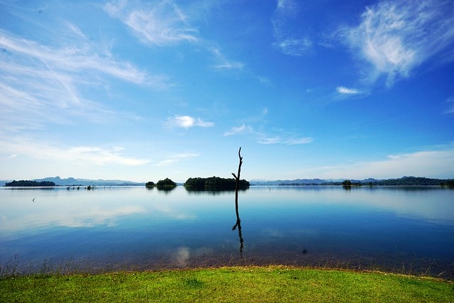 20251102-2vzya 20251102-2vzya