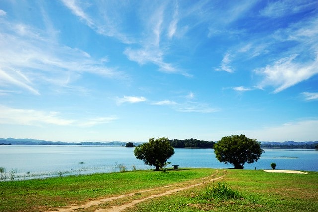 20251102-40vil 20251102-40vil